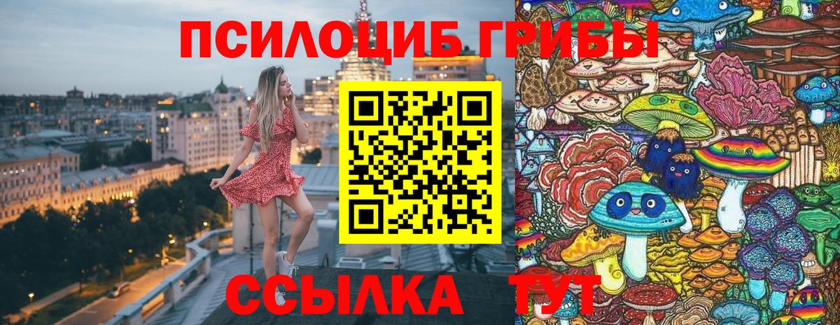 дарнет шоп  Псилоцибиновые грибы GOLDEN TEACHER  Вход с VPN  Джанкой 